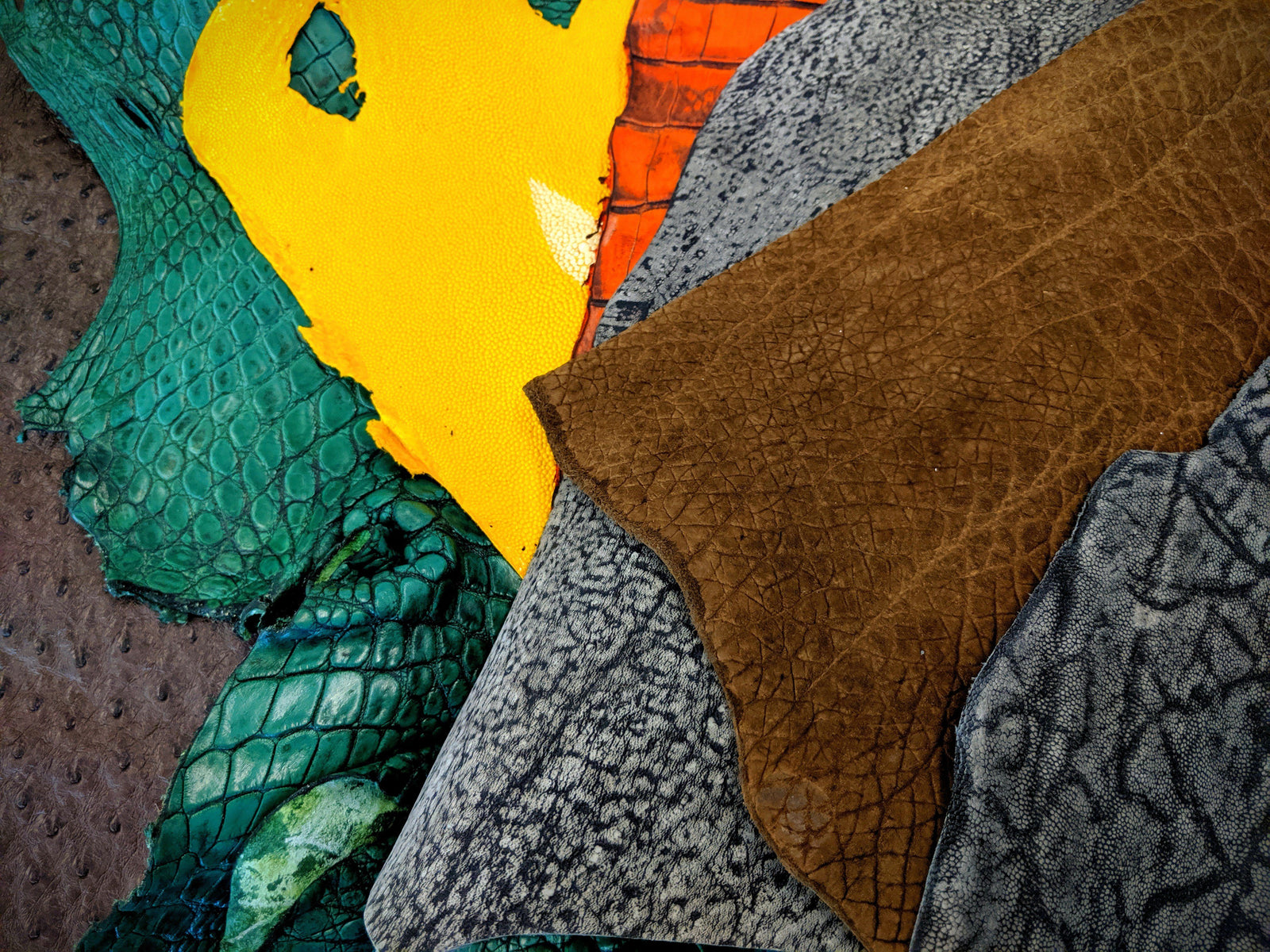 Top 7 Exotic Leathers: The Rundown