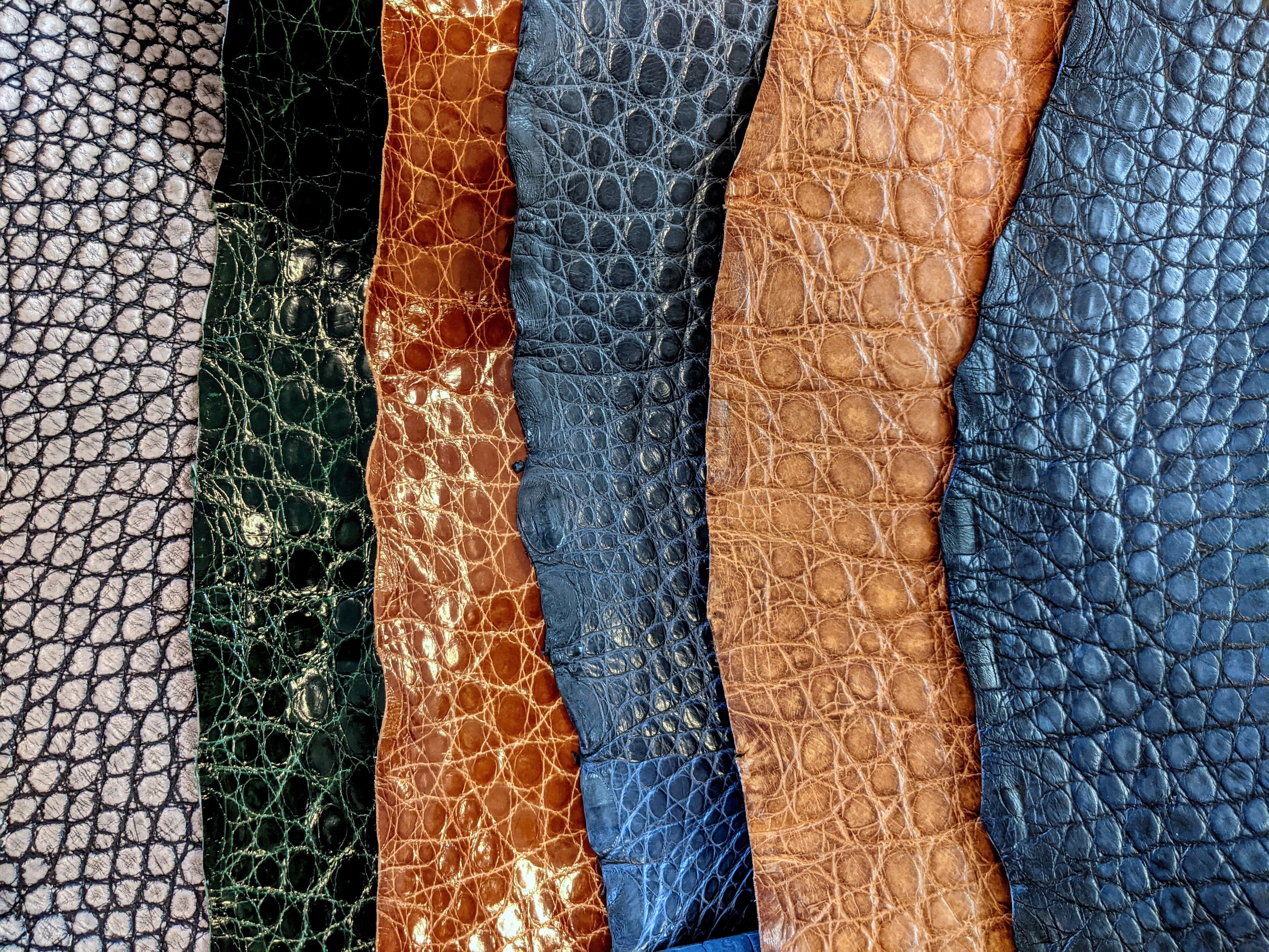 Alligator Skin Pieces Various Colors Genuine Hide