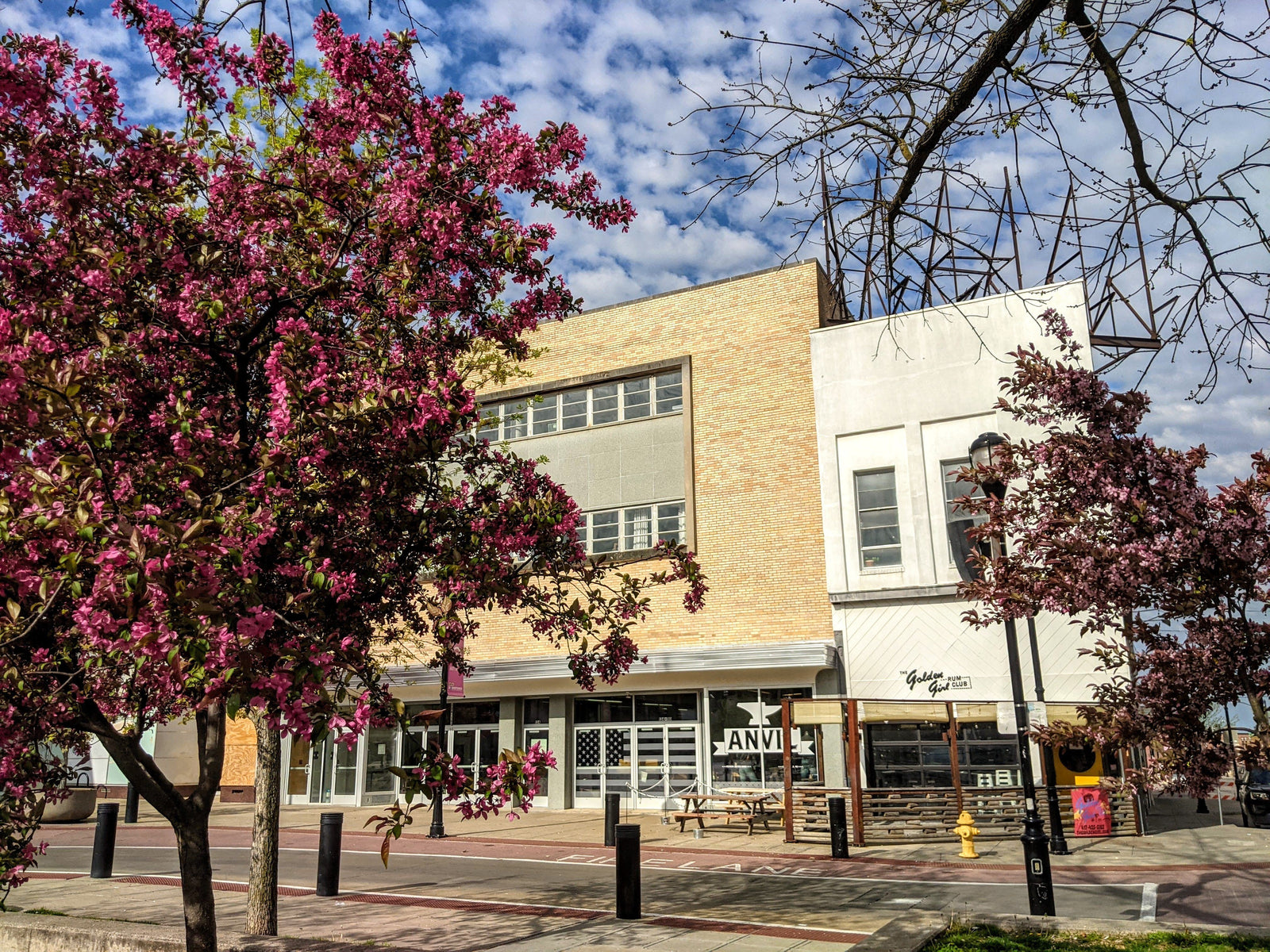 Springtime in Springfield