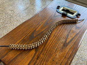 Copperhead Snake Vertebrae Bead for Paracord Lanyard
